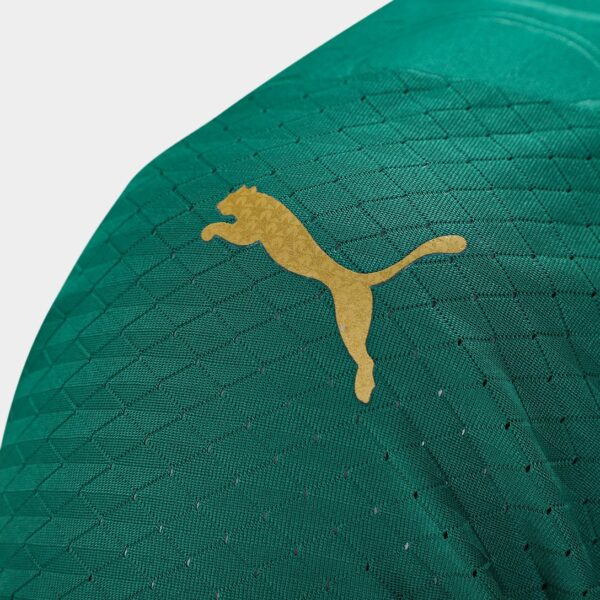 Camisa Palmeiras I 24/25 Torcedor Puma Masculina - Verde - Image 6